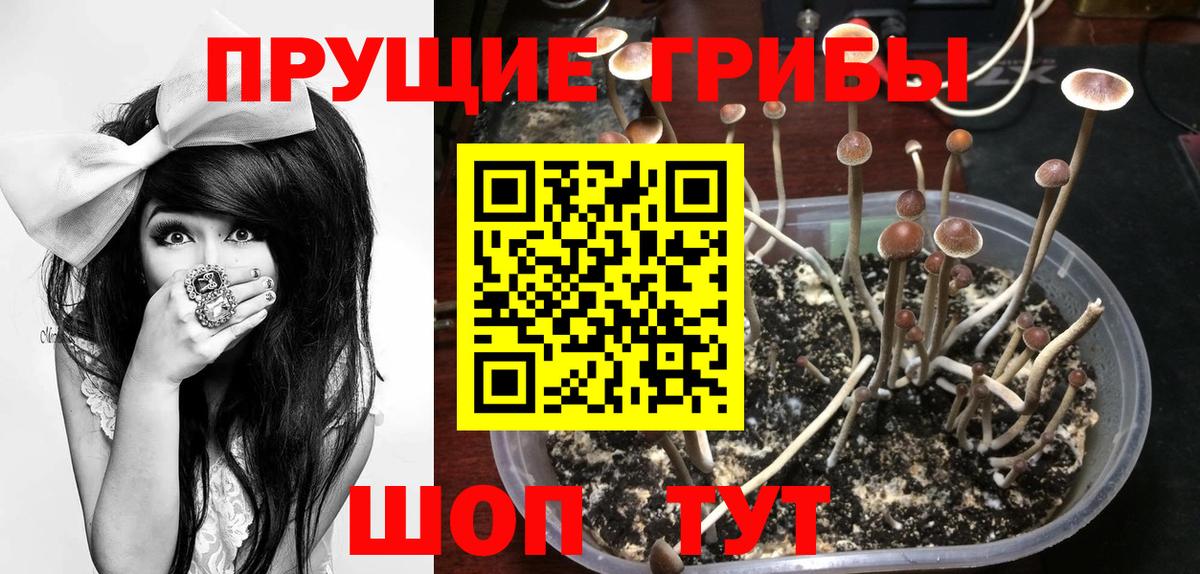 Галлюциногенные грибы Cubensis Верхняя Салда