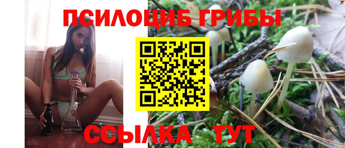 Псилоцибиновые грибы мицелий  Вход с VPN  Псилоцибиновые грибы Psilocybine cubensis  Верхняя Салда 
